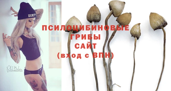 mdma Богданович
