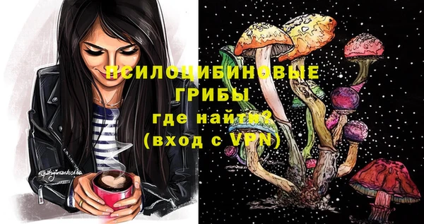 экстази Богородицк
