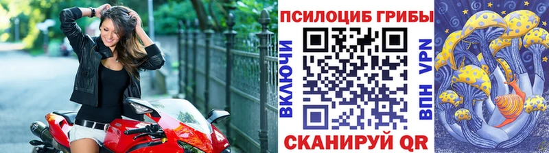 блэк спрут ССЫЛКА  даркнет сайт  Козловка  Псилоцибиновые грибы мухоморы 